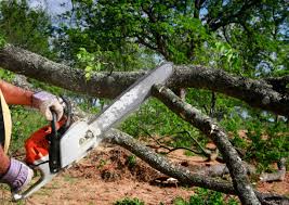 Best Stump Grinding and Removal  in Malad City, ID